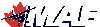 maf_web.jpg