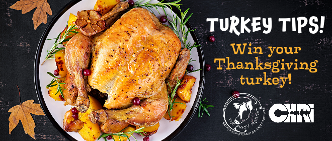 TurkeyTips 660