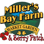 Miller's Bay Farm Strawberries