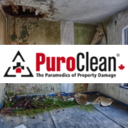 Puro Clean