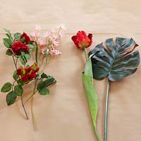botanical8
