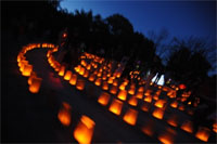 lumiere