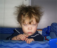 morning