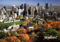mtlcover