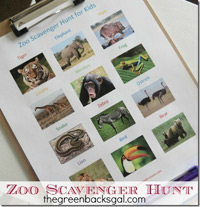zooscavenger