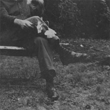 top20 beedtobreathe thelong