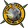 little_rays