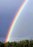 rainbow rainbow.jpg